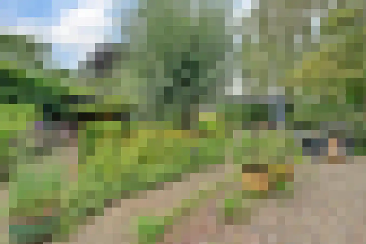 Slijpkruikweg 53 Ede thumbnail 65