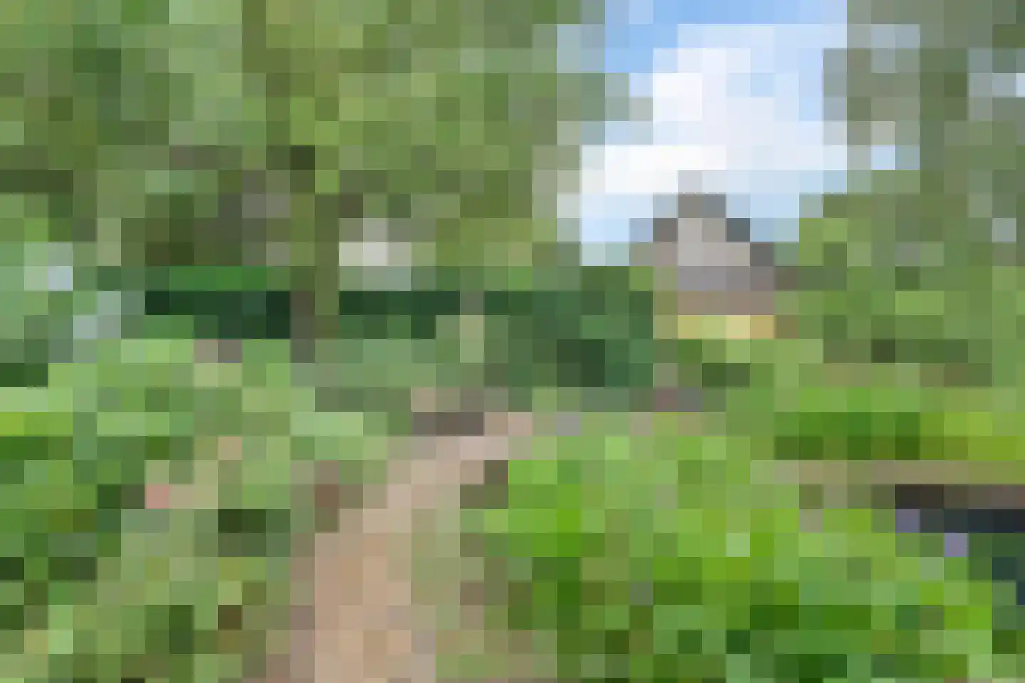Slijpkruikweg 53 Ede thumbnail 67