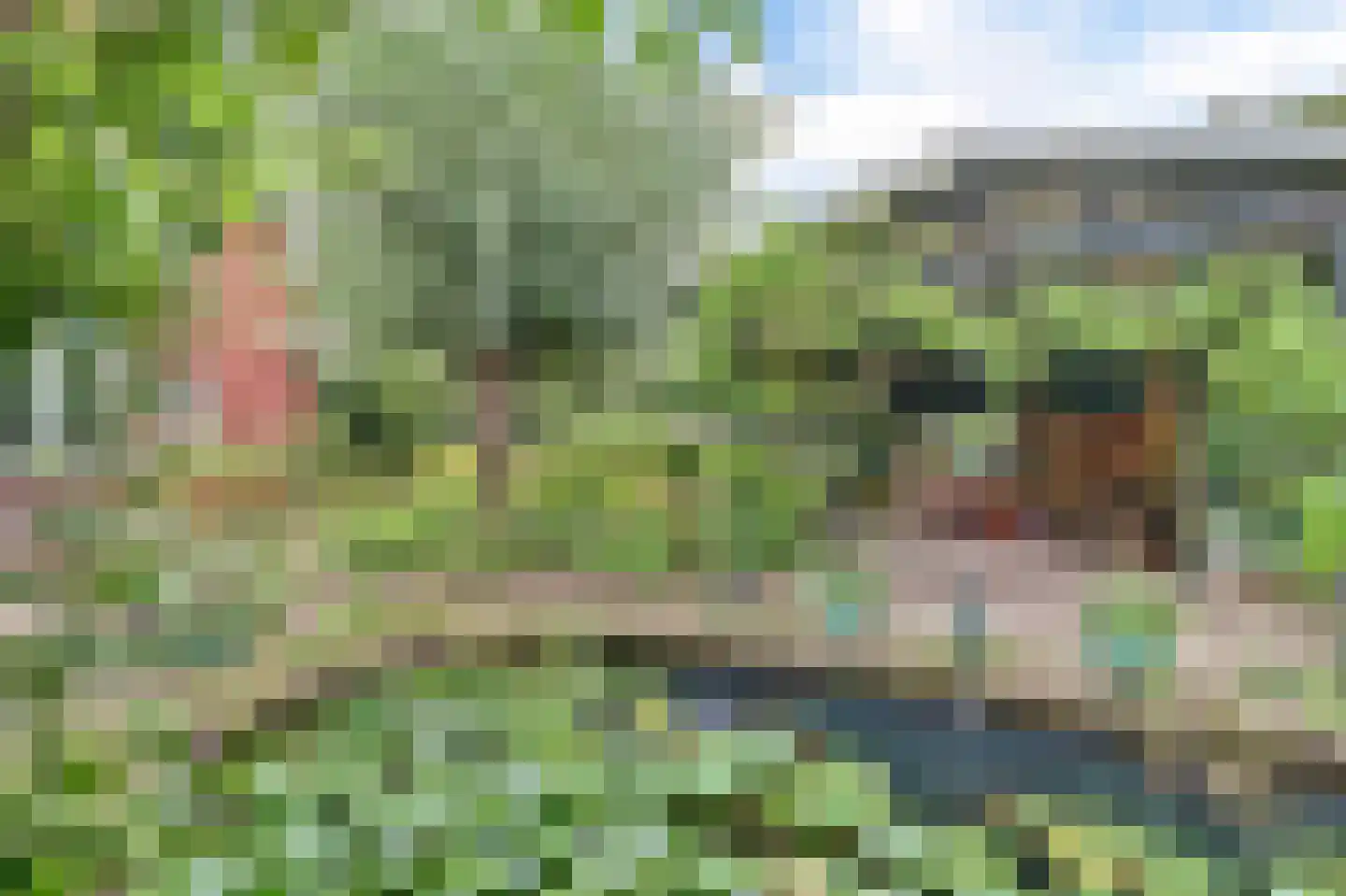 Slijpkruikweg 53 Ede thumbnail 69