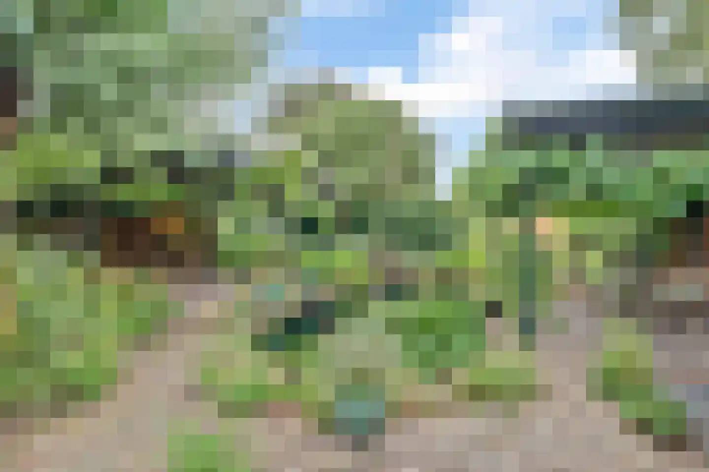 Slijpkruikweg 53 Ede thumbnail 71