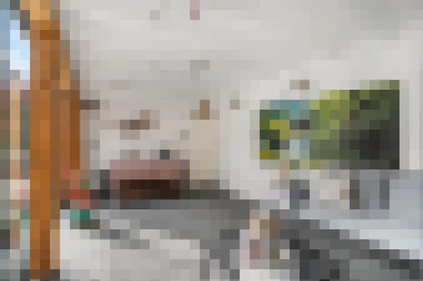 Slijpkruikweg 61 Ede thumbnail 35