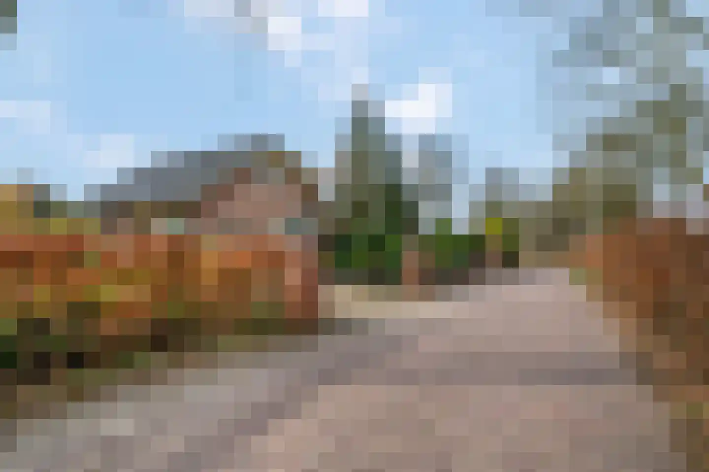 Slijpkruikweg 61 Ede thumbnail 37