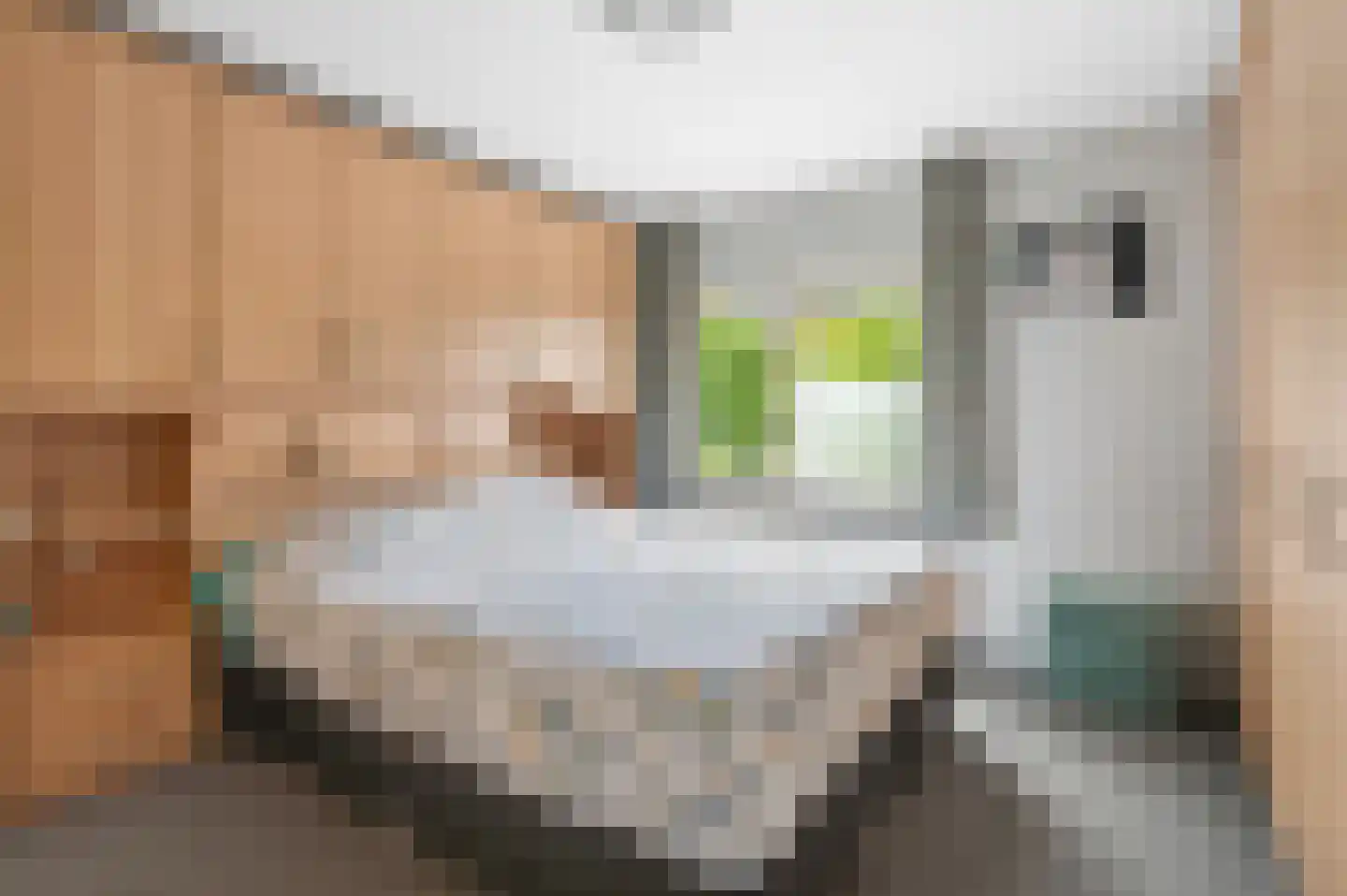 Slijpkruikweg 9 Ede thumbnail 20
