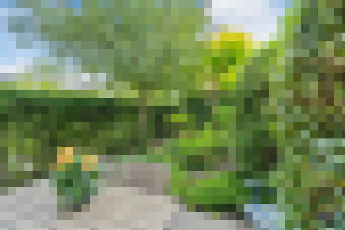 Slijpmolen 5 Koog aan de Zaan thumbnail 10