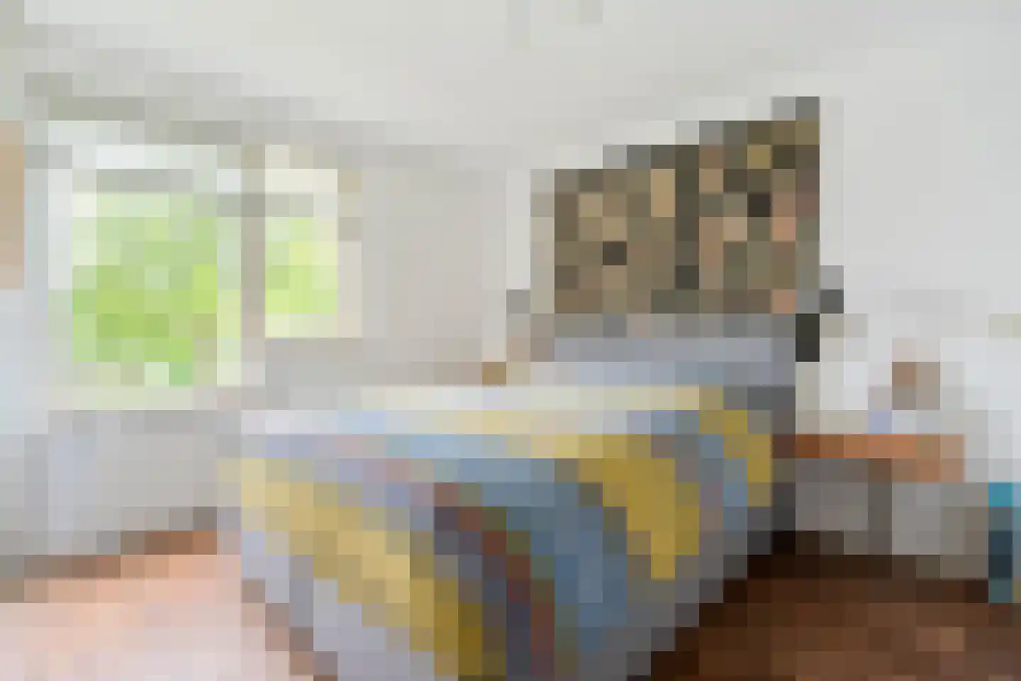Slijpmolen 5 Koog aan de Zaan thumbnail 18