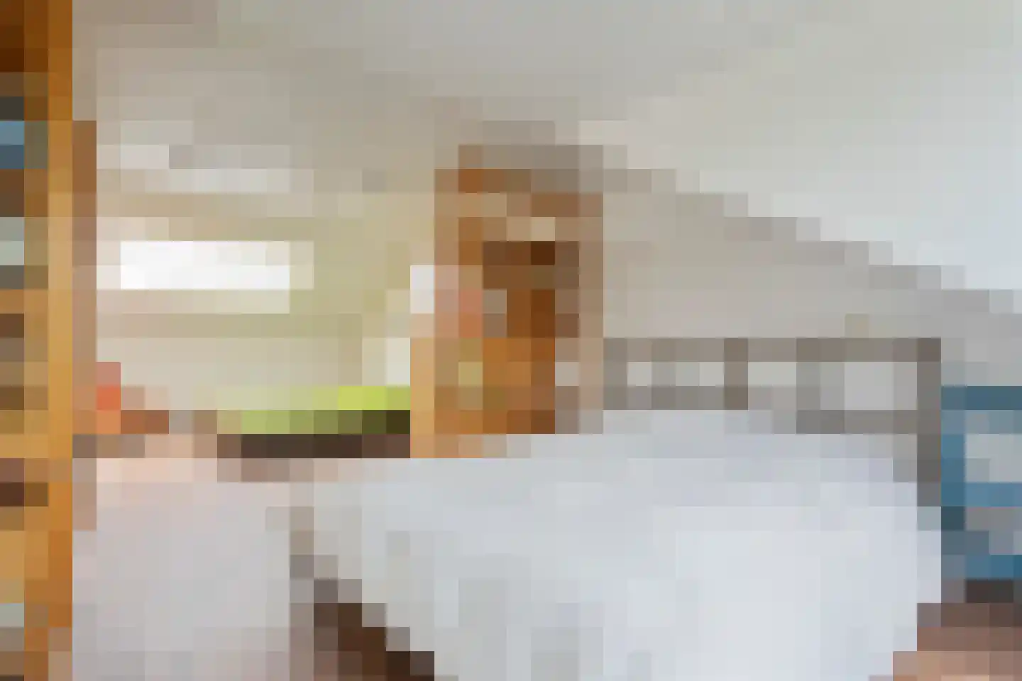 Slijpmolen 5 Koog aan de Zaan thumbnail 24