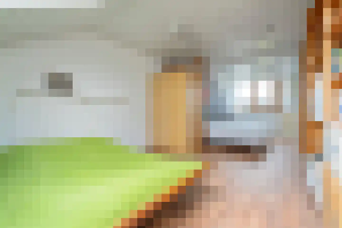 Slijpmolen 5 Koog aan de Zaan thumbnail 25