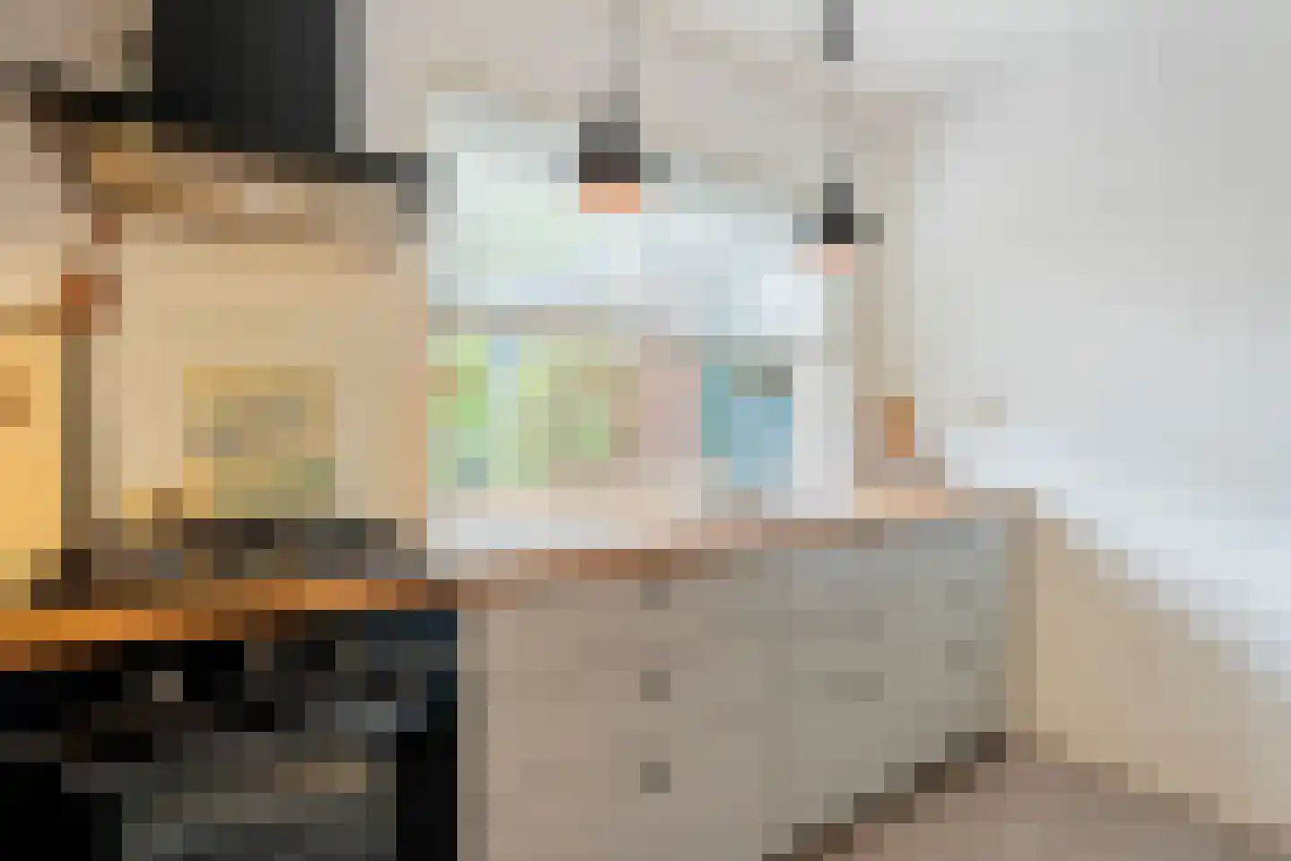 Slijpmolen 5 Koog aan de Zaan thumbnail 5