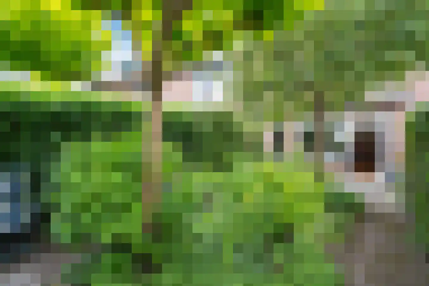 Slijpmolen 5 Koog aan de Zaan thumbnail 9