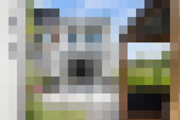 Slijpsteen 1 Zuidland thumbnail 32