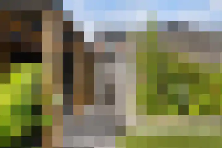 Slijpsteen 1 Zuidland thumbnail 34
