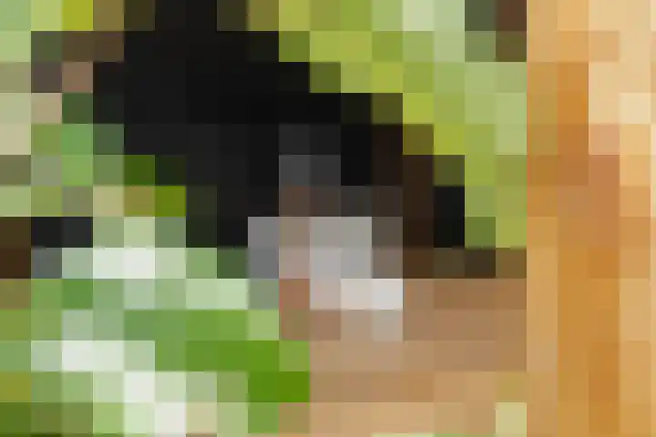 Slijpsteen 1 Zuidland thumbnail 36