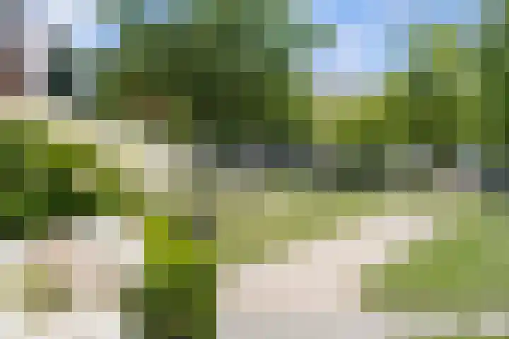 Slijpsteen 1 Zuidland thumbnail 37