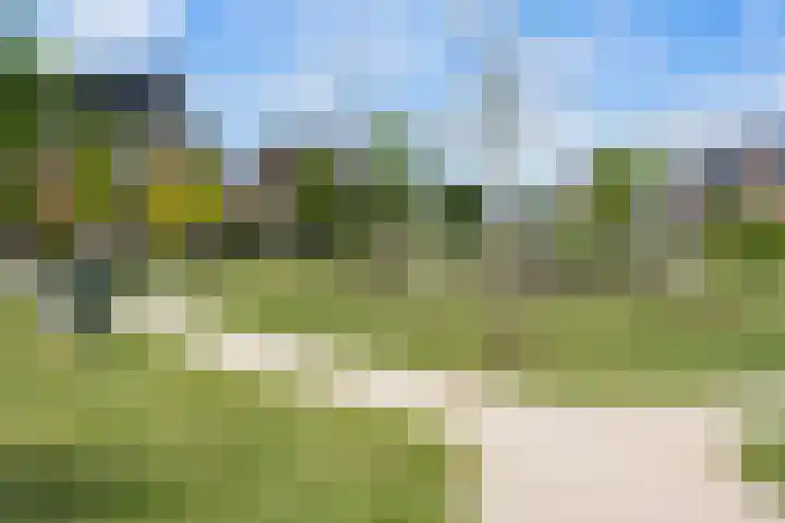 Slijpsteen 1 Zuidland thumbnail 38