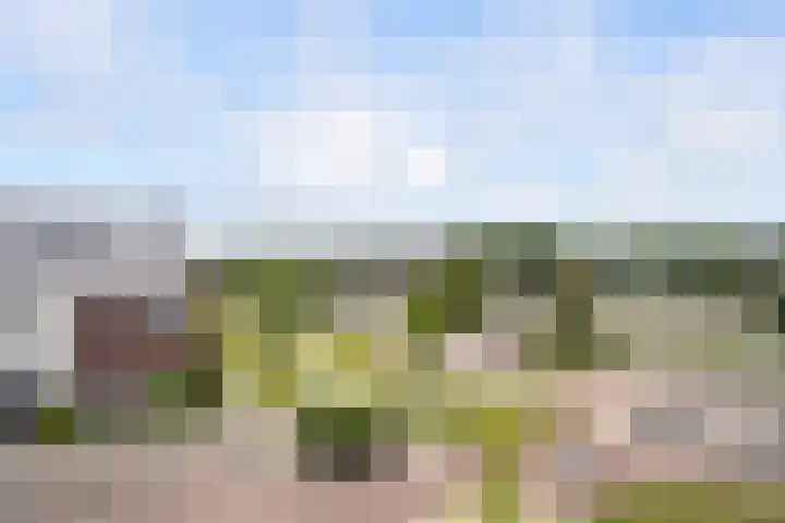 Slijpsteen 1 Zuidland thumbnail 39