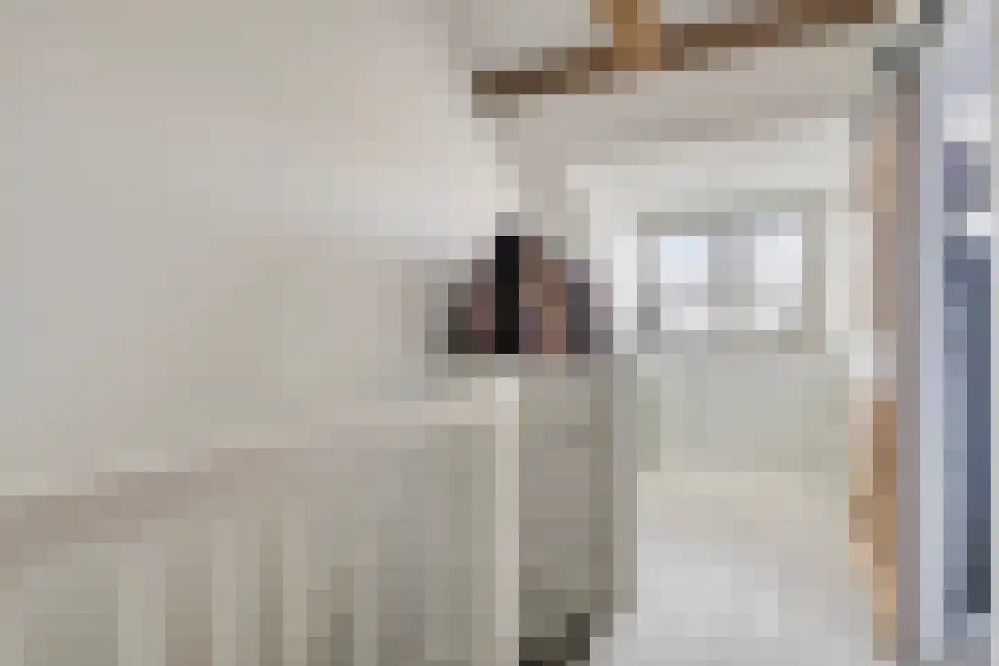 Slijpsteen 19 Zuidland thumbnail 24