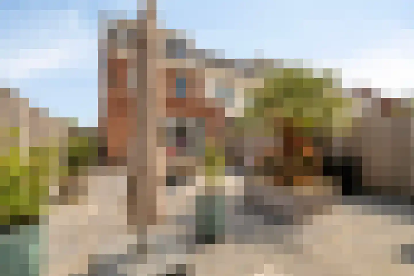 Slijpsteen 19 Zuidland thumbnail 30