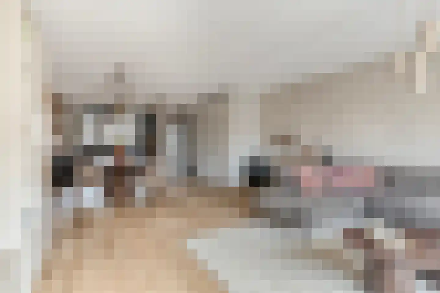Slijpsteen 19 Zuidland thumbnail 9