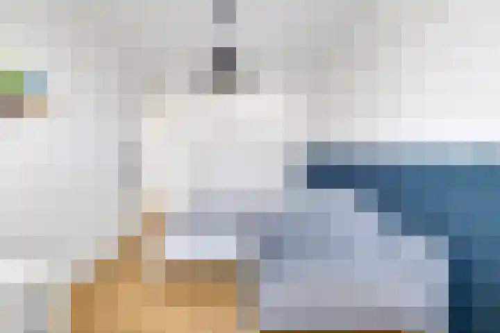 Slijpsteen 3 Zuidland thumbnail 18
