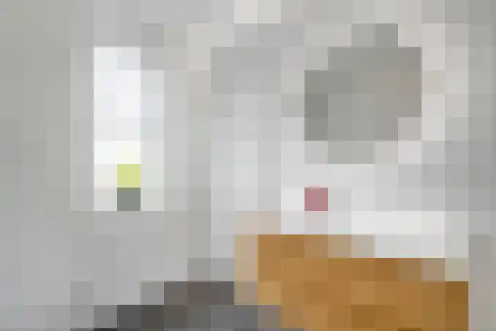 Slijpsteen 3 Zuidland thumbnail 24