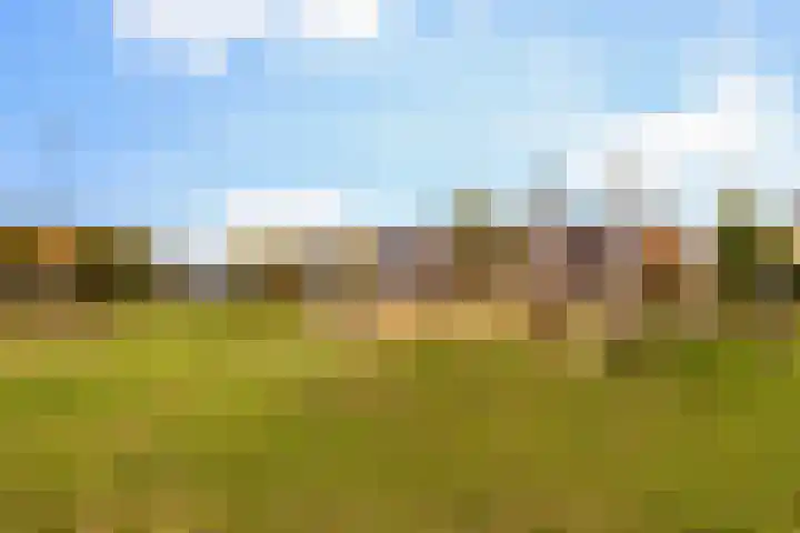 Slijpsteen 3 Zuidland thumbnail 34
