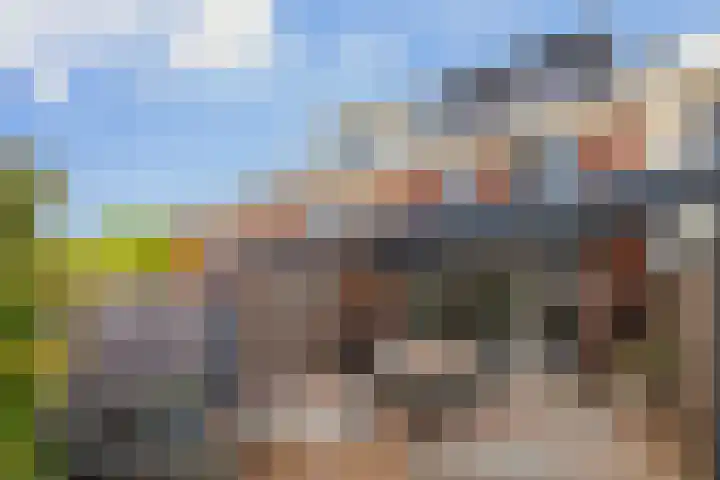 Slijpsteen 3 Zuidland thumbnail 5