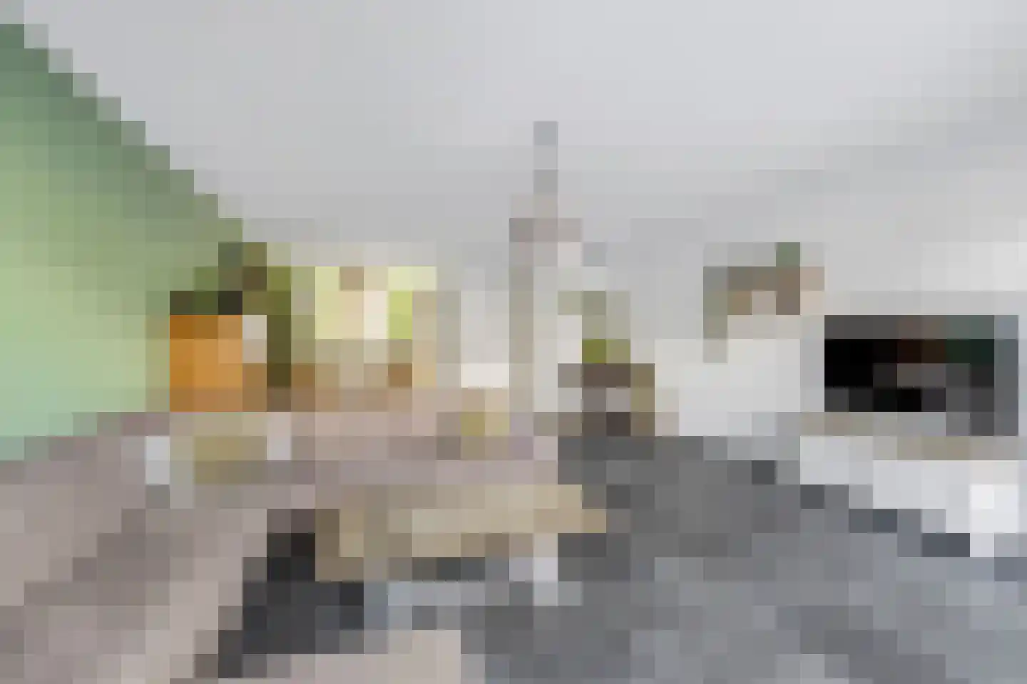 Slijpsteen 5 Zuidland thumbnail 13