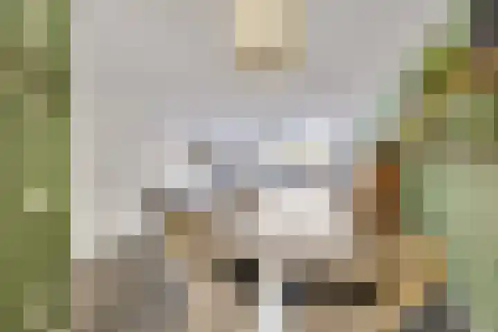 Slijpsteen 5 Zuidland thumbnail 13