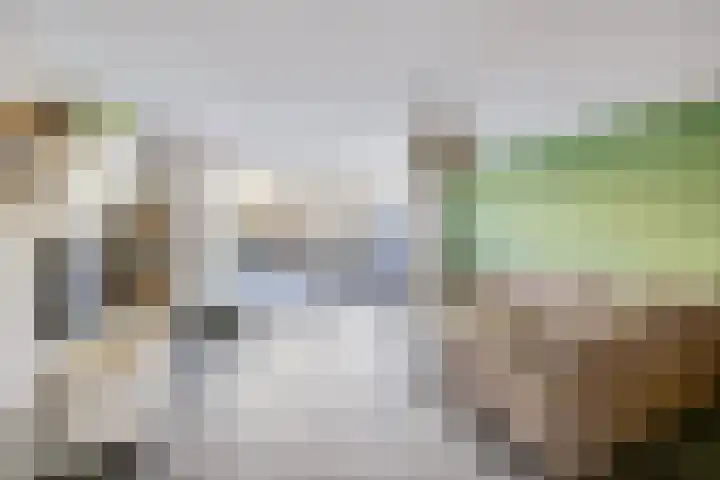 Slijpsteen 5 Zuidland thumbnail 14