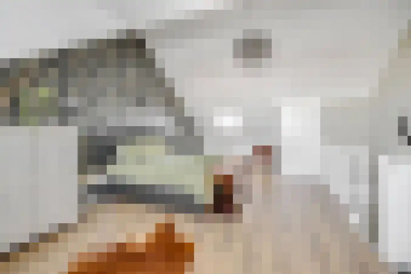 Slijpsteen 5 Zuidland thumbnail 28