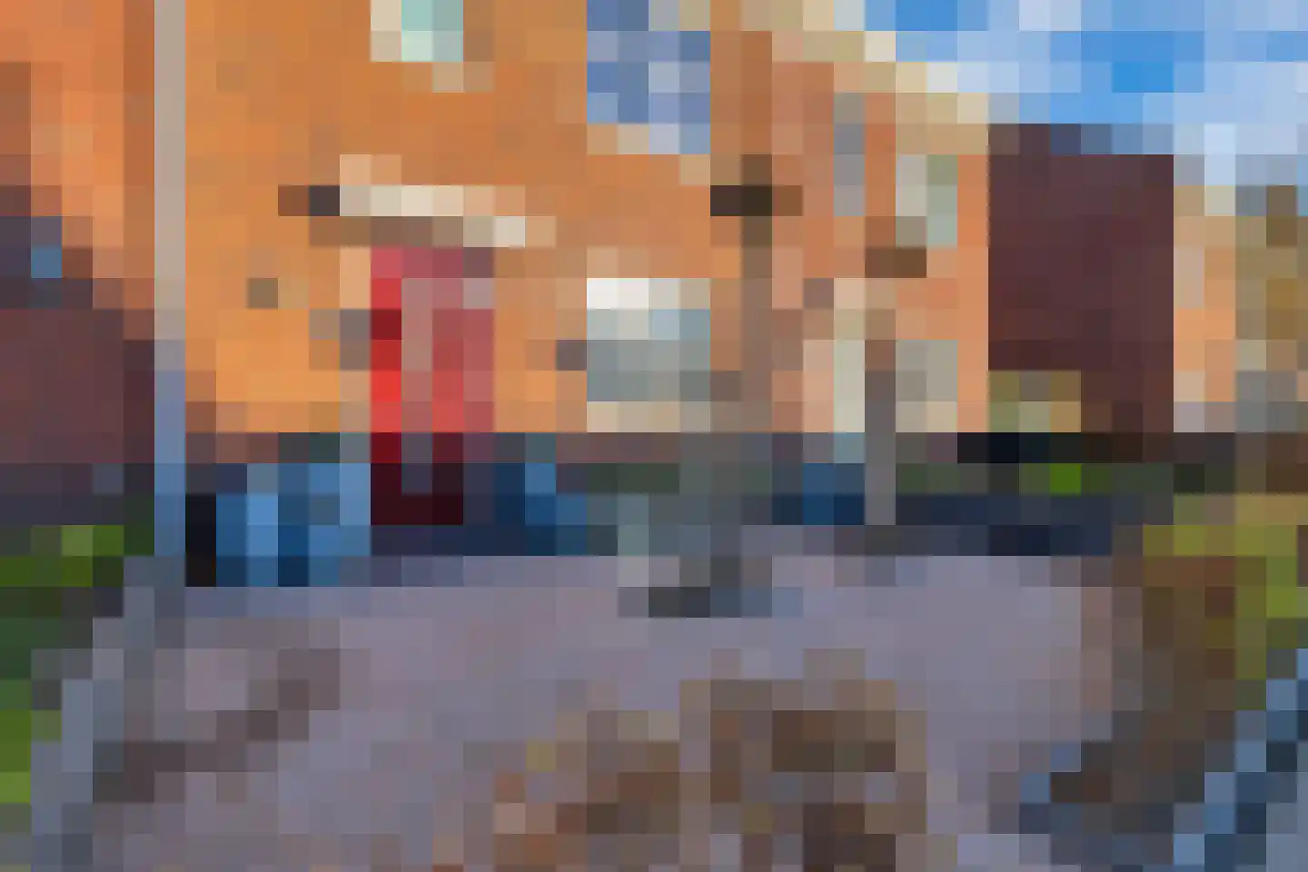 Slijpsteen 5 Zuidland thumbnail 35