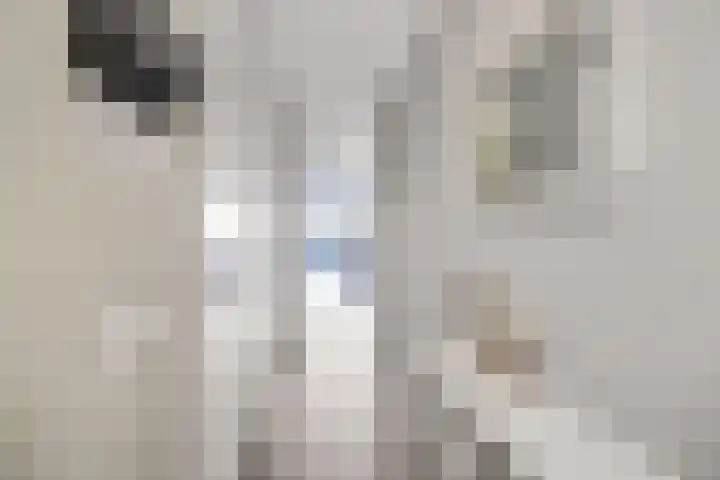 Slijpsteen 5 Zuidland thumbnail 8