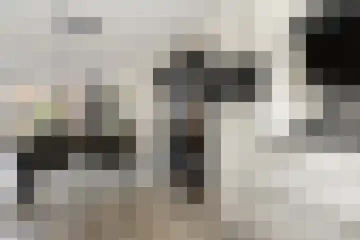 Slijpsteen 7 Zuidland thumbnail 9