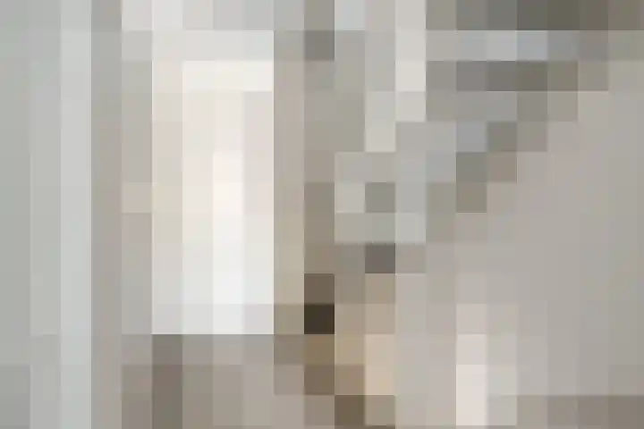 Slijpsteen 7 Zuidland thumbnail 12