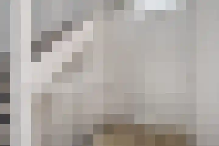 Slijpsteen 7 Zuidland thumbnail 13