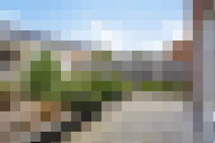 Slijpsteen 7 Zuidland thumbnail 26