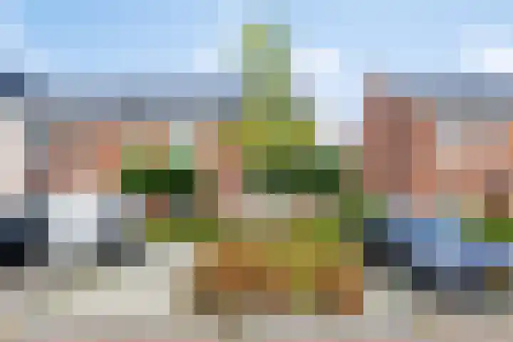 Slijpsteen 7 Zuidland foto 3