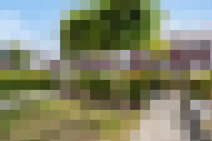 Slijpsteen 7 Zuidland thumbnail 31