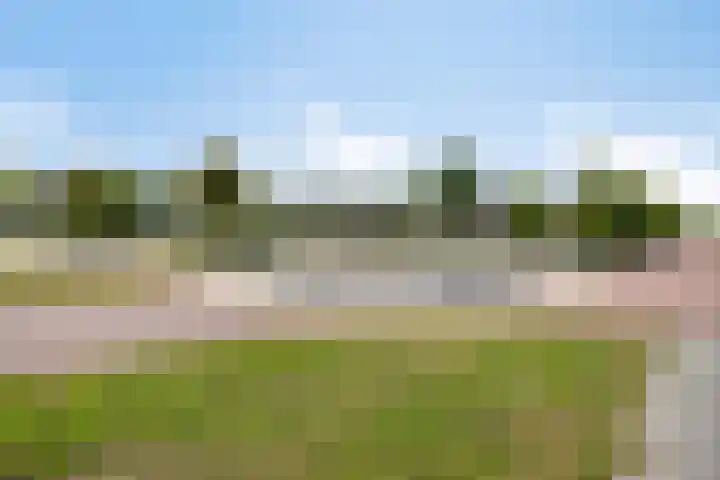 Slijpsteen 7 Zuidland thumbnail 32