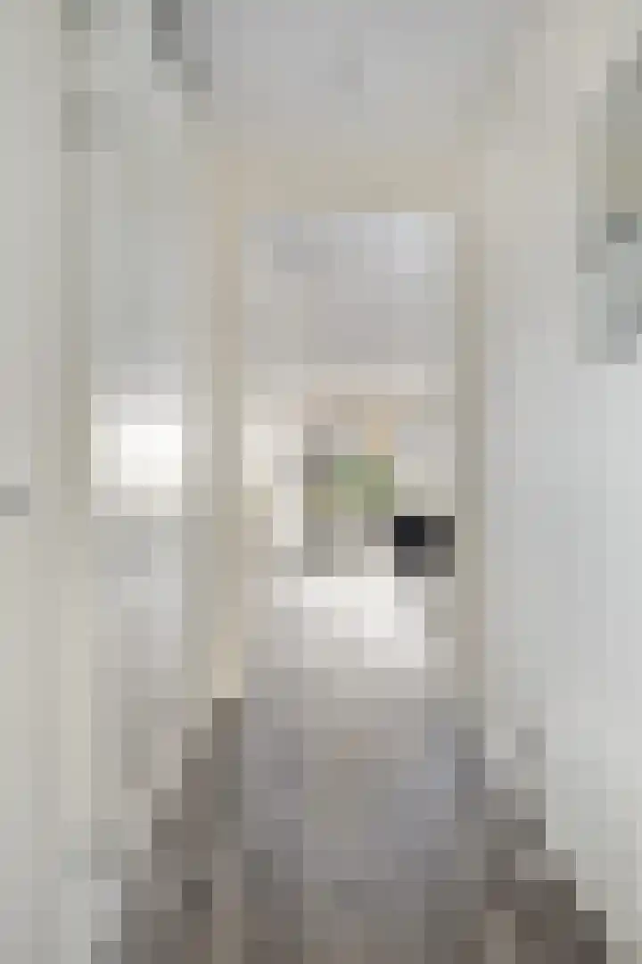 Slijpsteen 7 Zuidland thumbnail 34