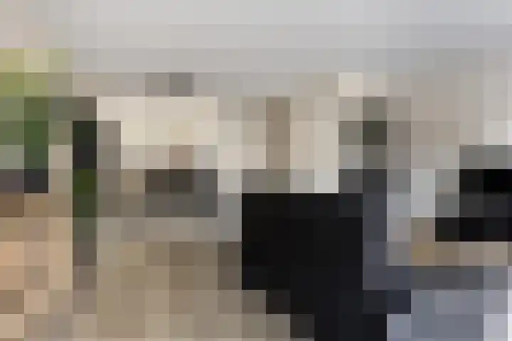 Slijpsteen 7 Zuidland thumbnail 7