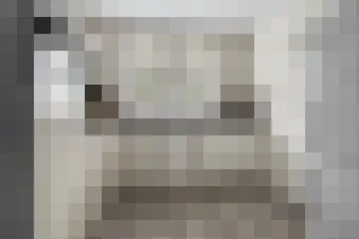 Slijpsteen 7 Zuidland thumbnail 8