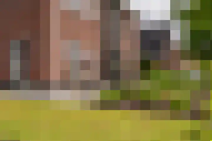 Slik 2 Delfzijl thumbnail 10