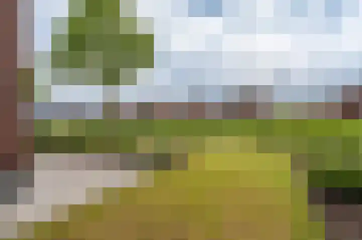 Slik 2 Delfzijl thumbnail 11