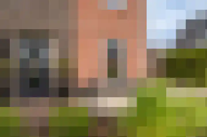 Slik 2 Delfzijl thumbnail 14