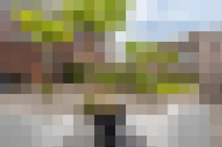 Slik 2 Delfzijl thumbnail 16