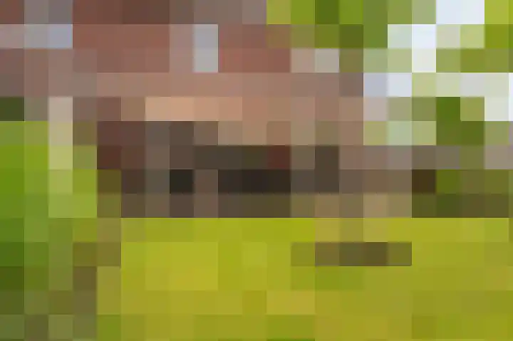 Slik 2 Delfzijl thumbnail 17