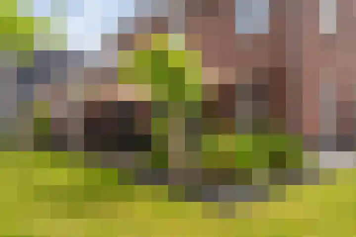 Slik 2 Delfzijl thumbnail 18