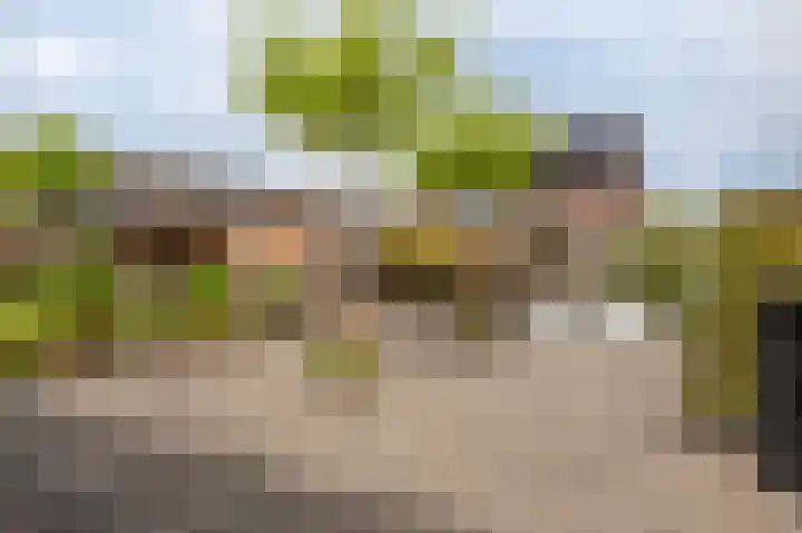 Slik 2 Delfzijl thumbnail 21