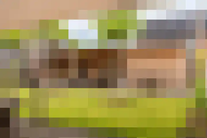 Slik 2 Delfzijl thumbnail 23